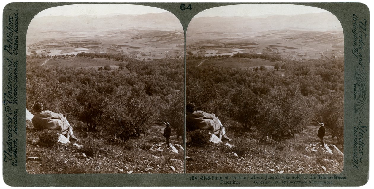 Równina Dothan, Palestyna, 1900. autorstwa Underwood and Underwood