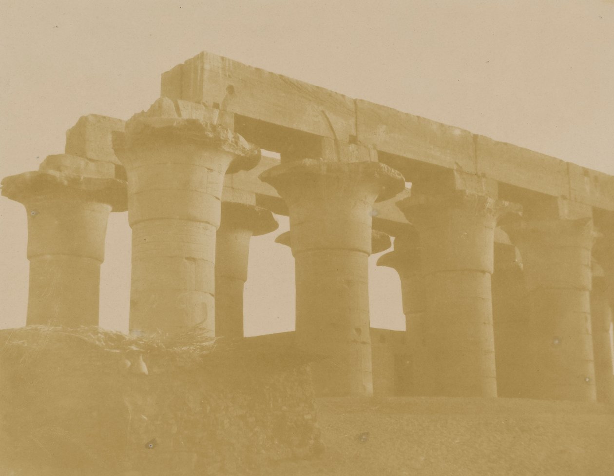 Colonnade, Luxor autorstwa Unidentified