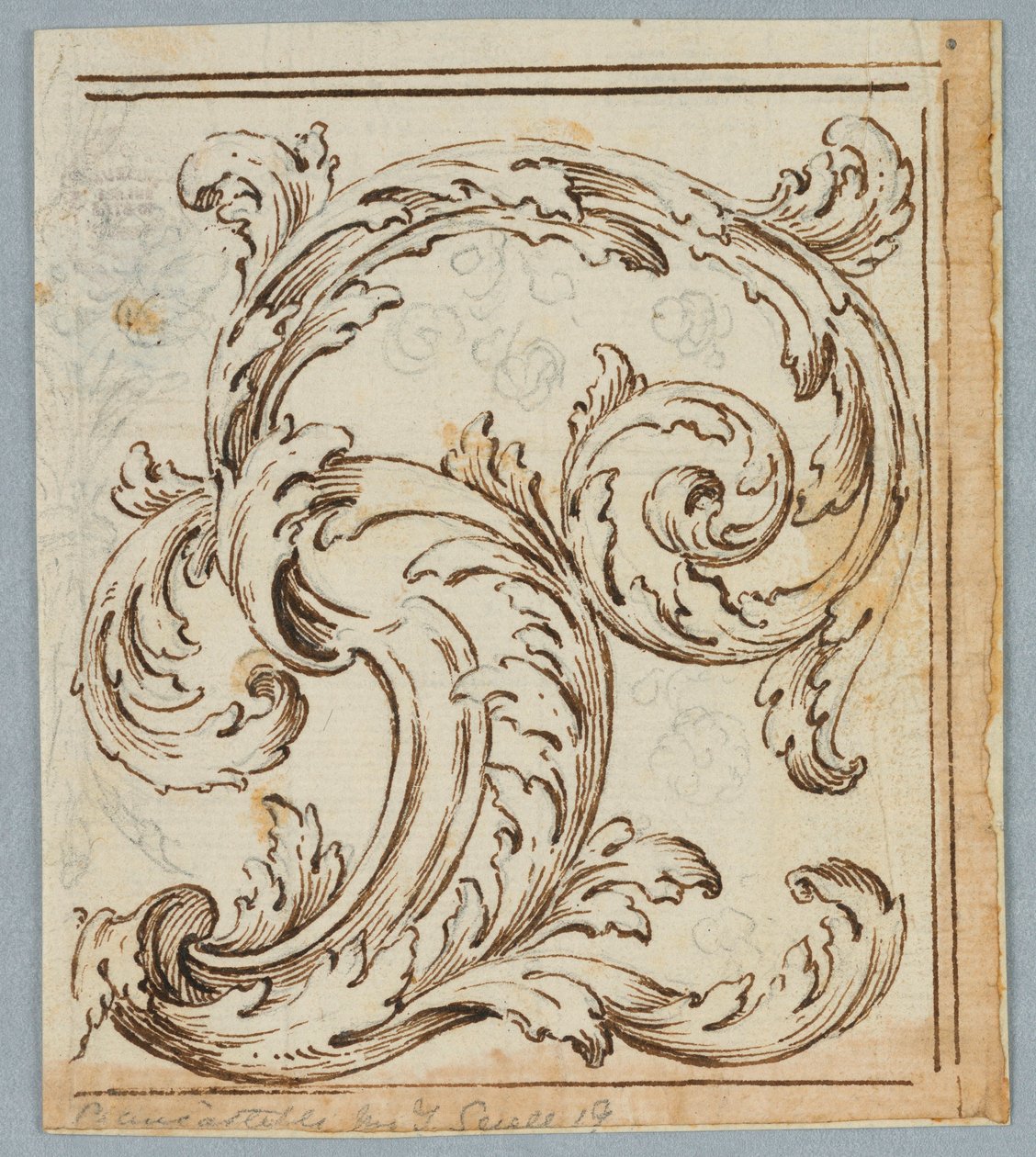 Rysunek, projekt Rinceau, 1725–1750 autorstwa Unknown