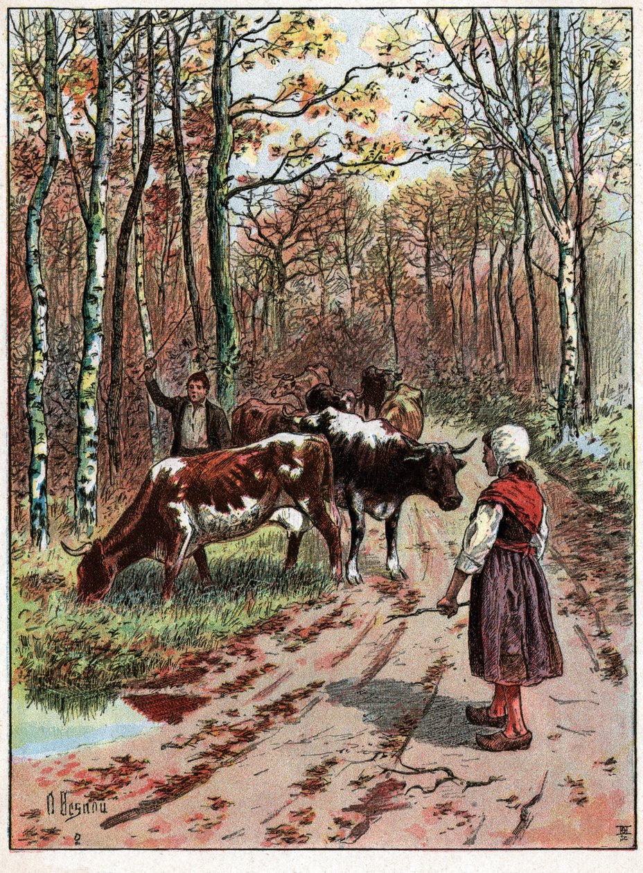 Stado krów. Stado krów. autorstwa Unknown