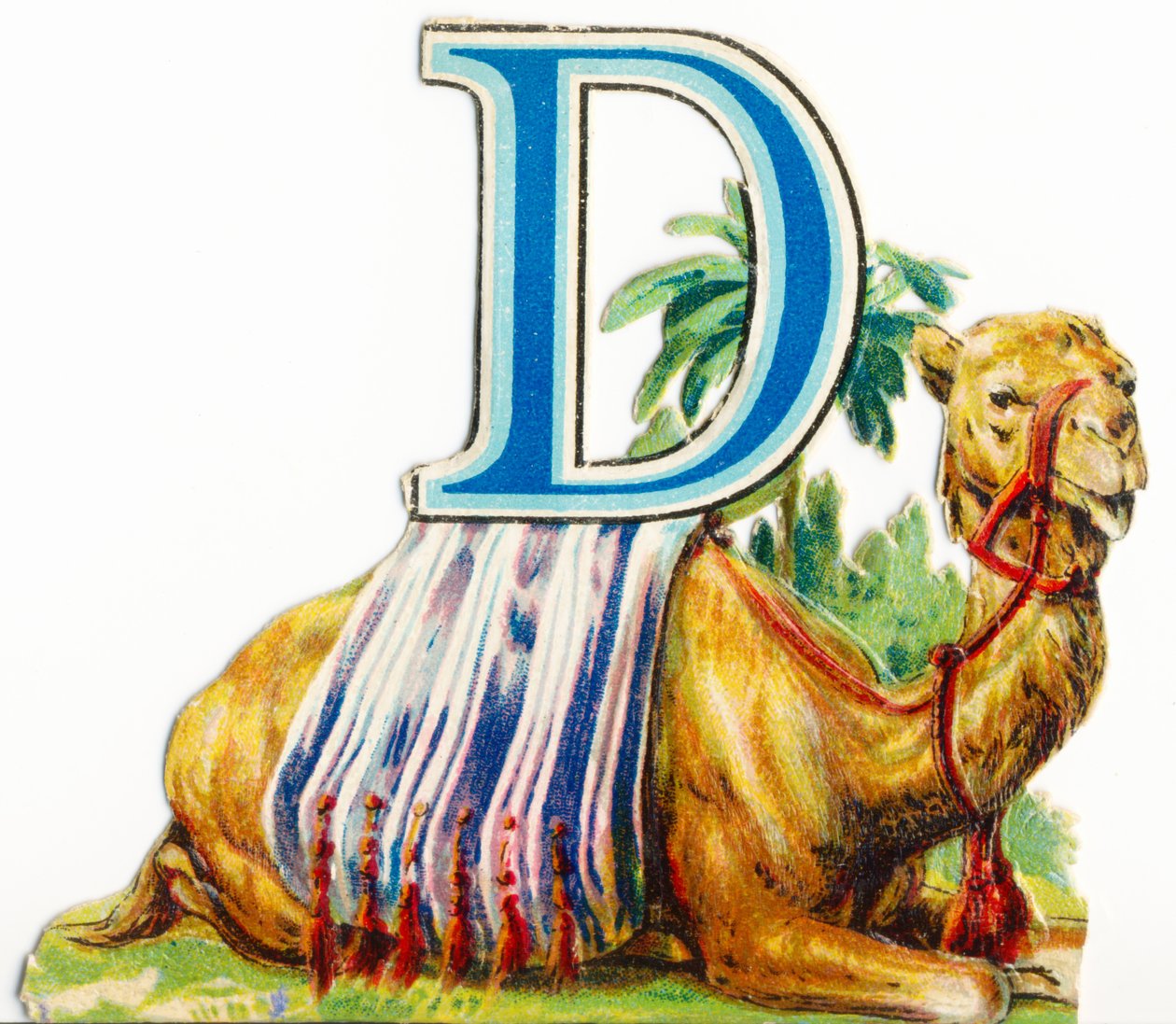 D: Dromader autorstwa Unknown artist