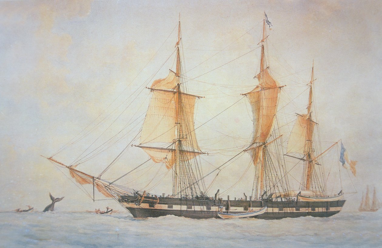 Francuski statek wielorybniczy, c.1845 (kolor lito) autorstwa Unknown artist
