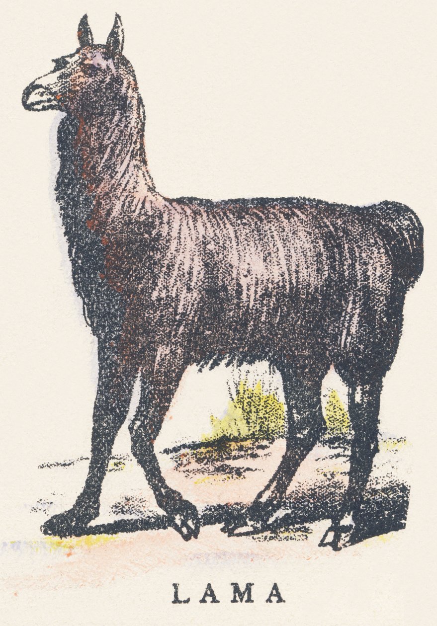 L: dlaczego? autorstwa Unknown artist