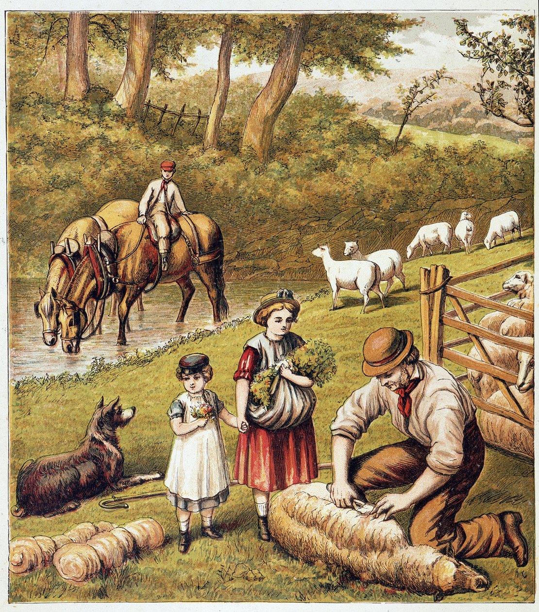 Koszenie owiec – chromolitografia autorstwa Unknown artist