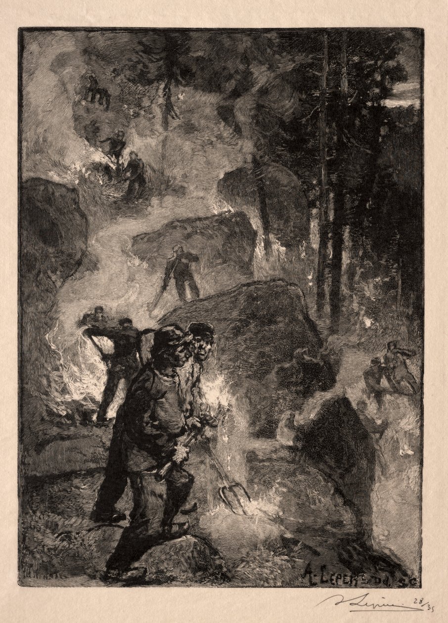 Paproć Palniki autorstwa Unknown artist