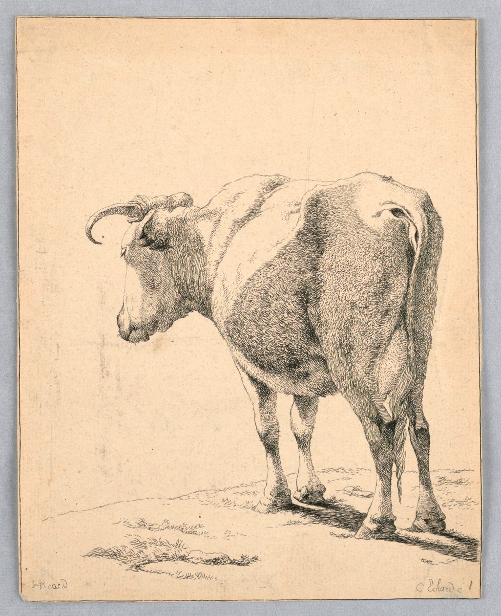 Krowa autorstwa Unknown artist