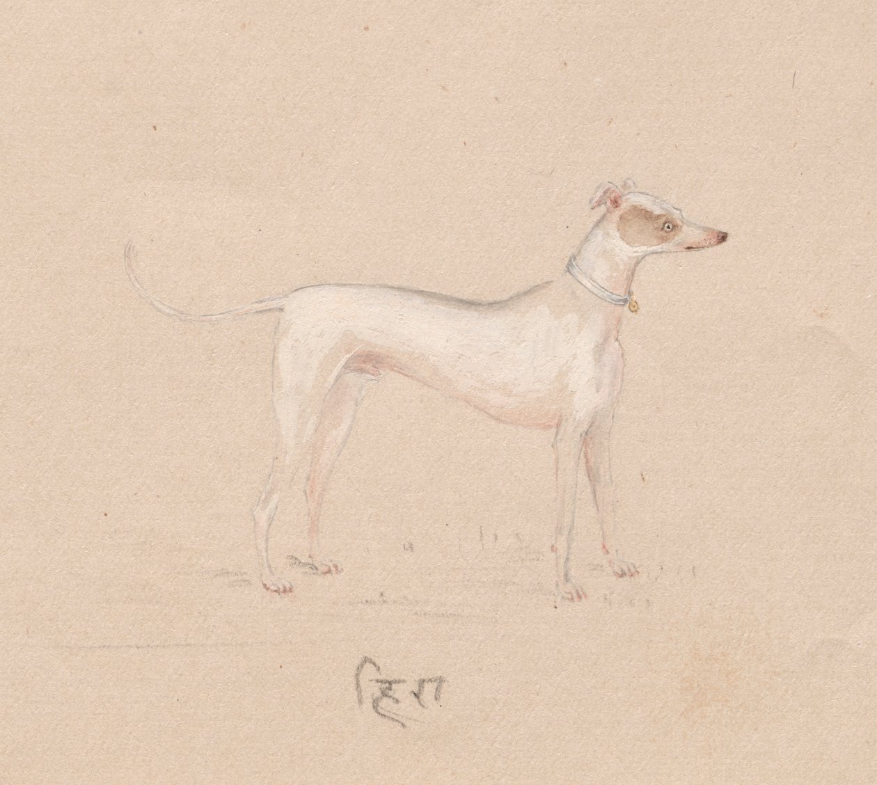 Pies autorstwa Unknown artist