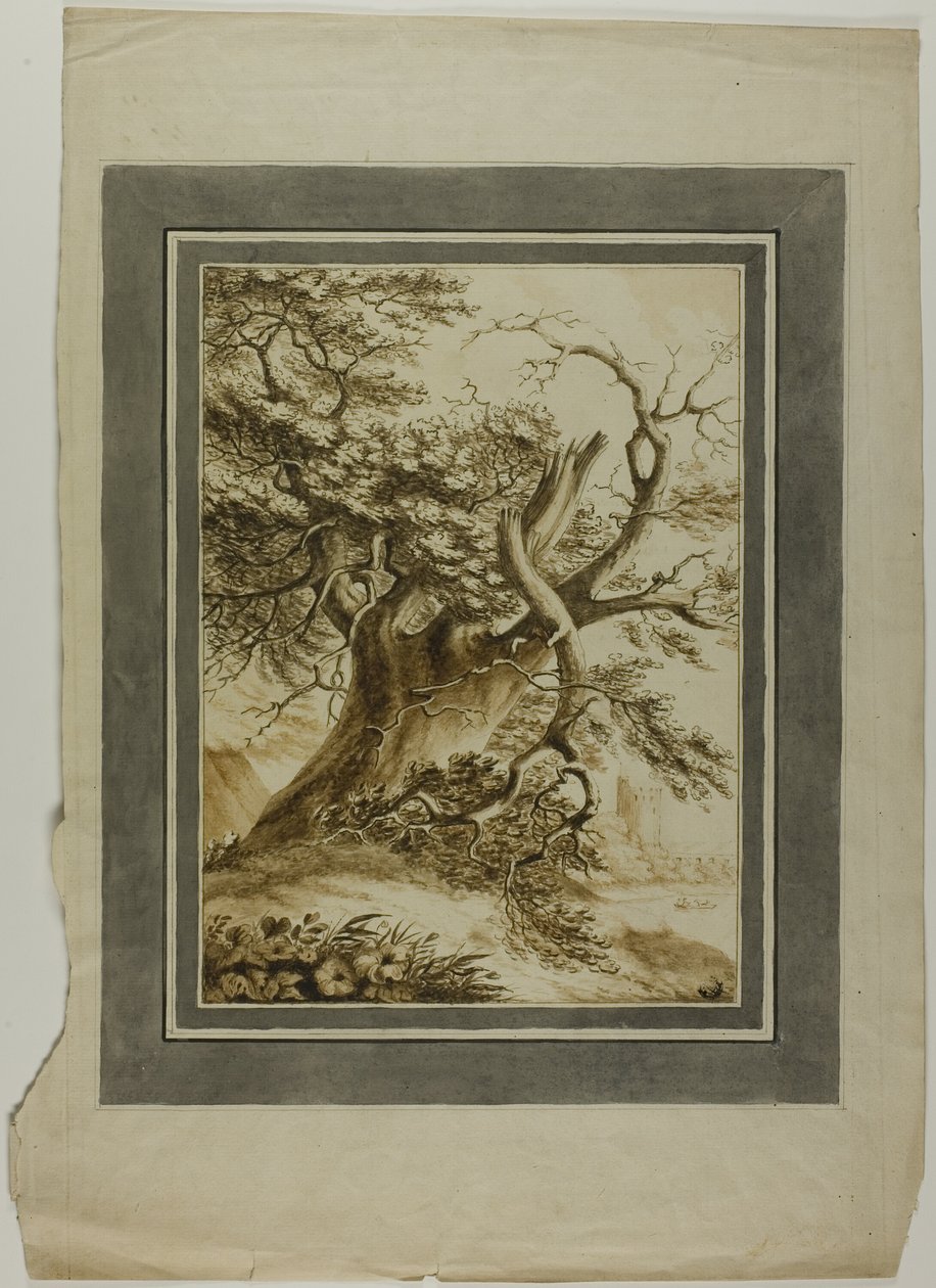 Giant Oak autorstwa Unknown artist