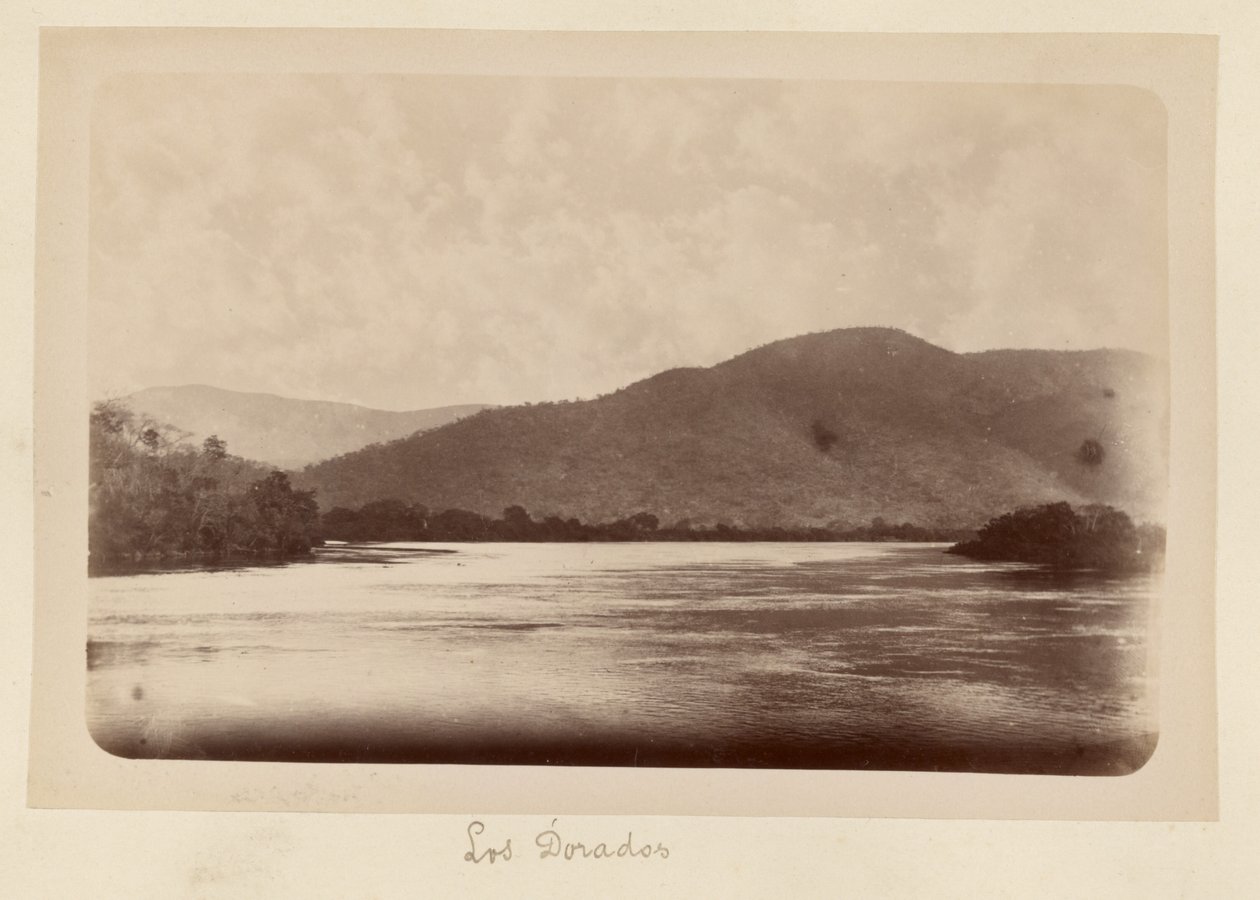 Los Dorados autorstwa Unknown artist