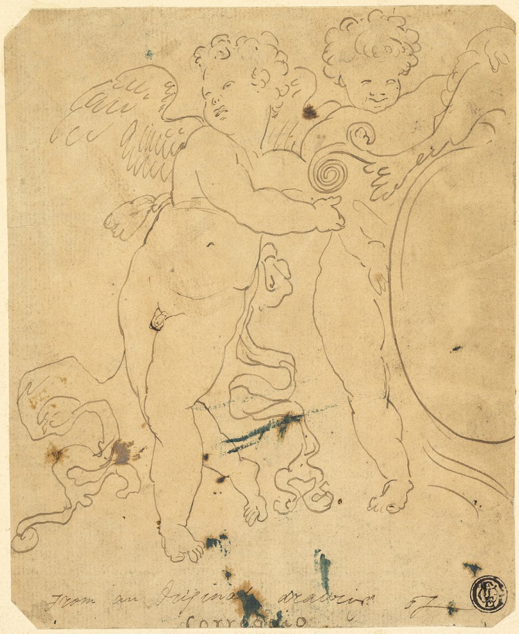 Putti z tarczą autorstwa Unknown artist