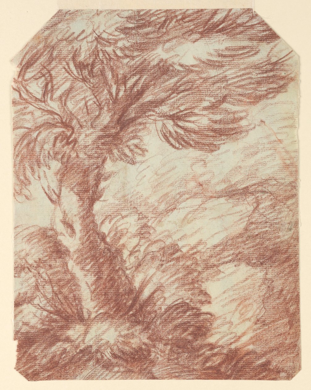 Study of Trees   1252829   pl       polish Successfully Translated  Original: Vergeten schelp, pruimenbloesem schelp en kersen schelp Wasuregai, umenohanagai, sakuragai (title on object) Een serie van schelpen (series title) Kaitsukushi (series title on ob autorstwa Unknown artist