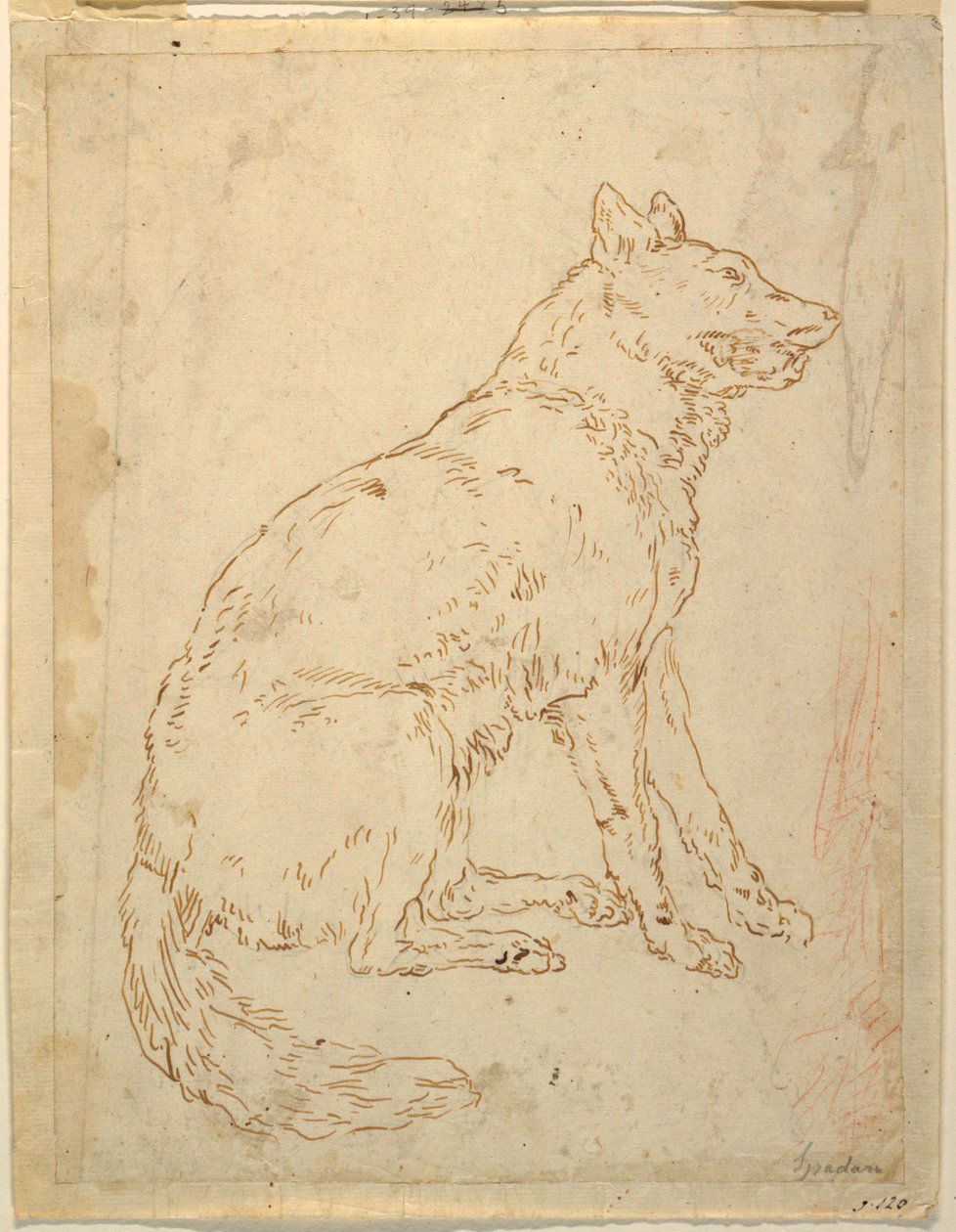 Studium owczarka autorstwa Unknown artist