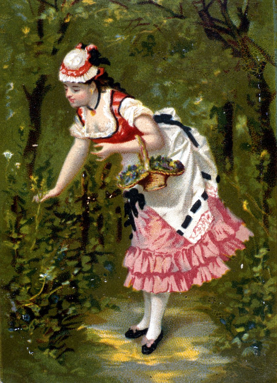 Młoda kobieta zbieranie kwiatów. Chromolitografia/ autorstwa Unknown artist