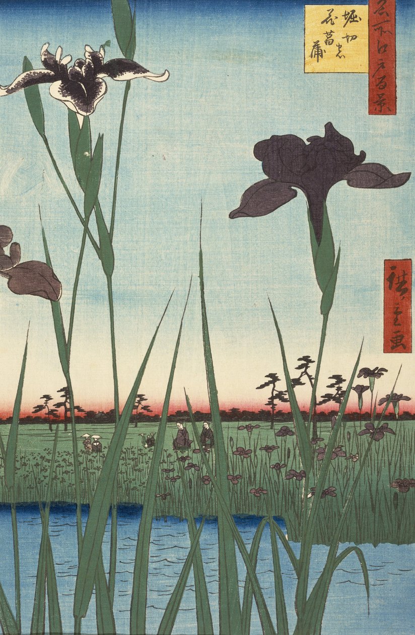 Horikiri to r-den (część kwiatu Horikiriego), fm teserie s grzbiet część d red fanet widoki Edo (imię sh. autorstwa Utagawa Hiroshige