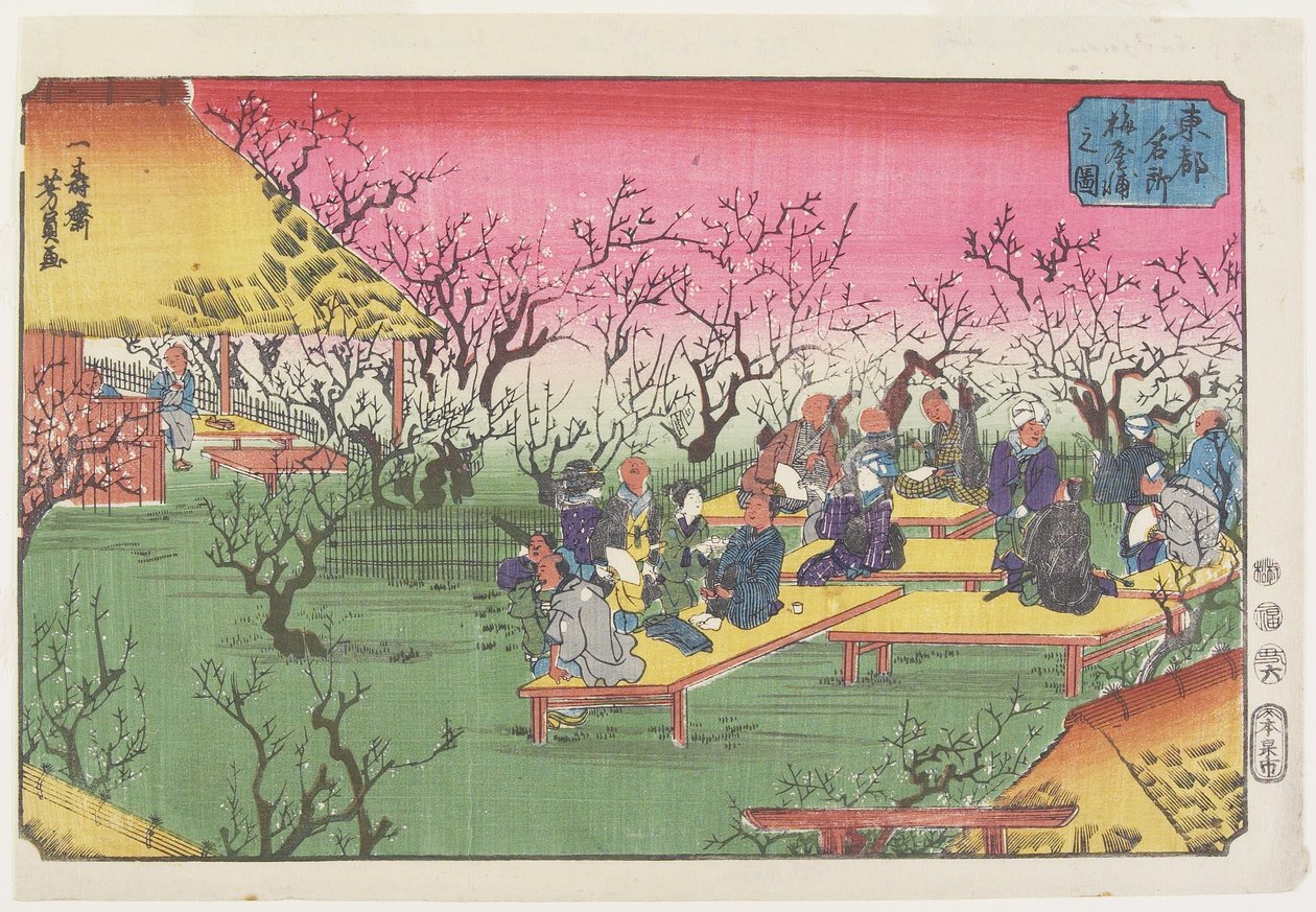 Widok na ogród śliwkowy w Umeyashiki, czerwiec 1853 autorstwa Utagawa Yoshikazu