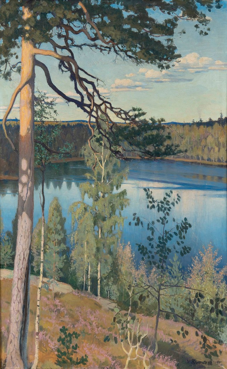Jezioro na pustyni, 1895 autorstwa Väinö Alfred Blomstedt