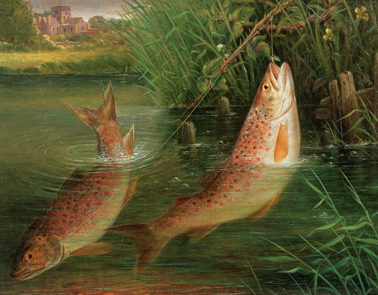 Pstrąg w Winchester autorstwa Valentine Thomas Garland