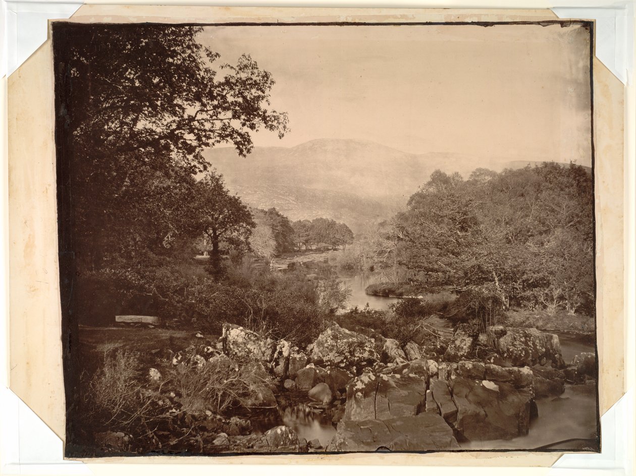 Widok z trawnika, Dennicanniby autorstwa Vernon Heath