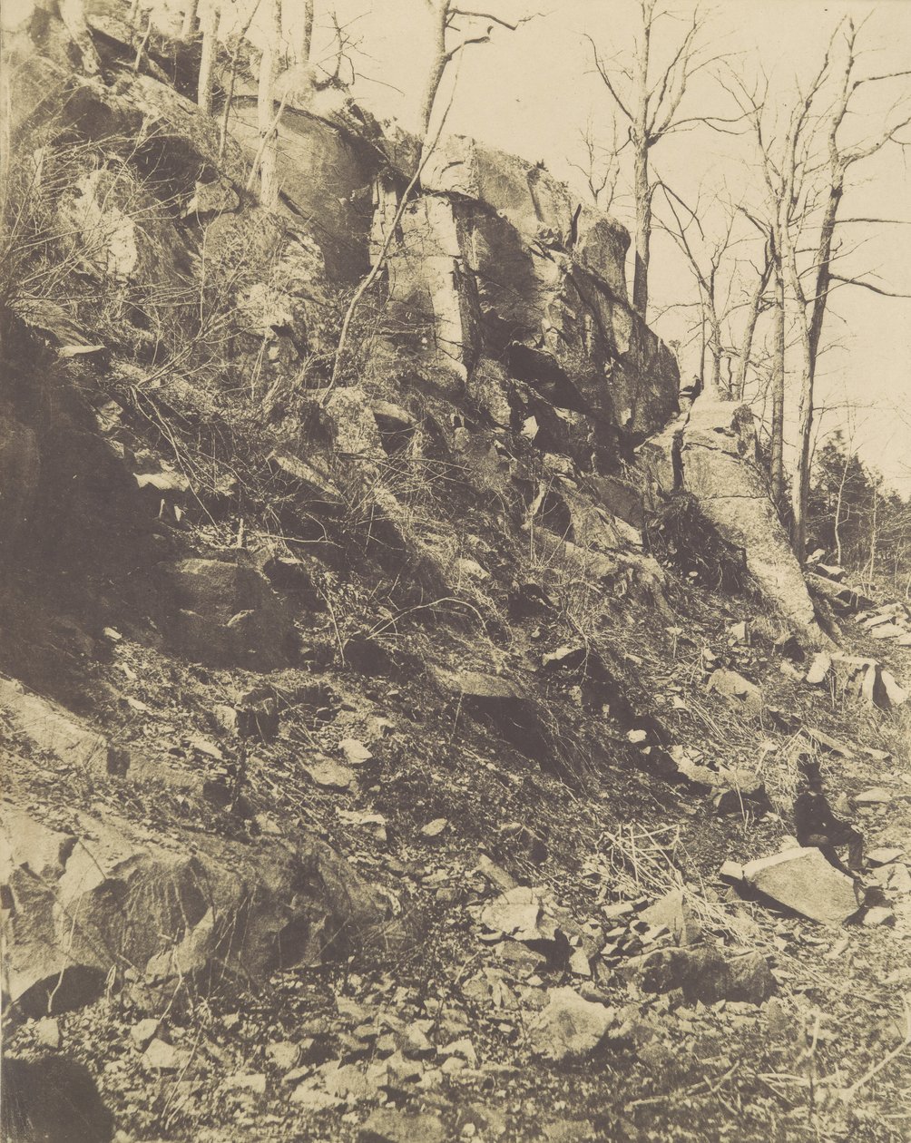 [Rocky Hillside], lata 50. XIX wieku. autorstwa Victor Prevost