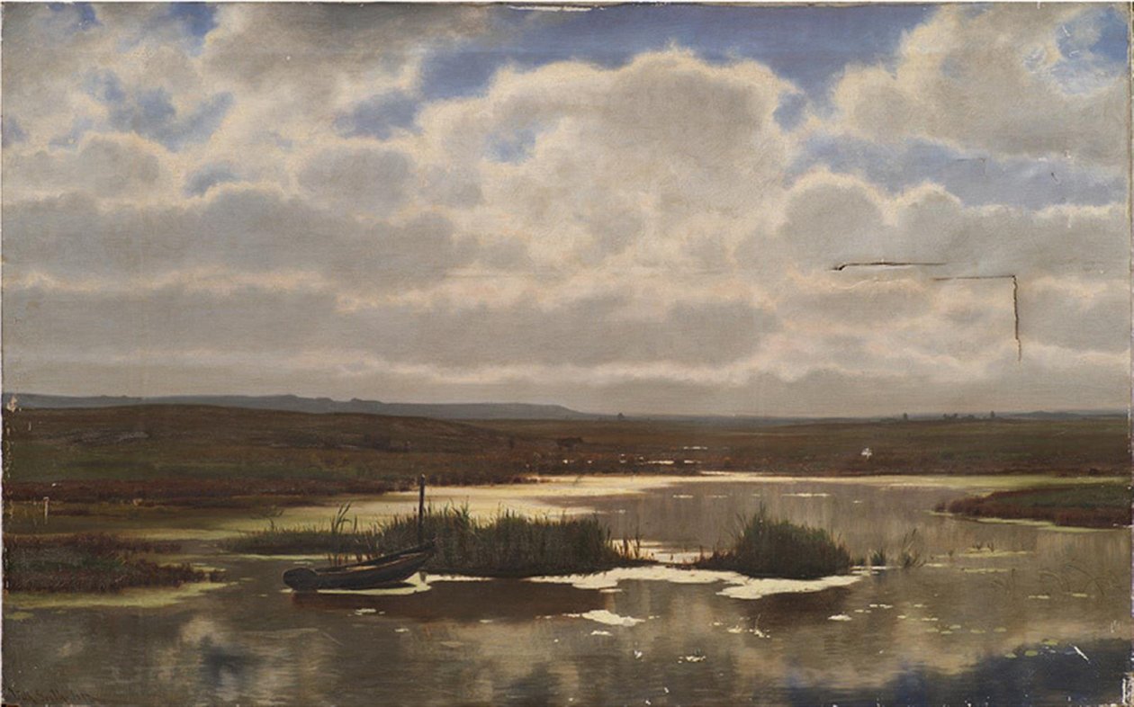 Heath z bagnem autorstwa Vilhelm Groth