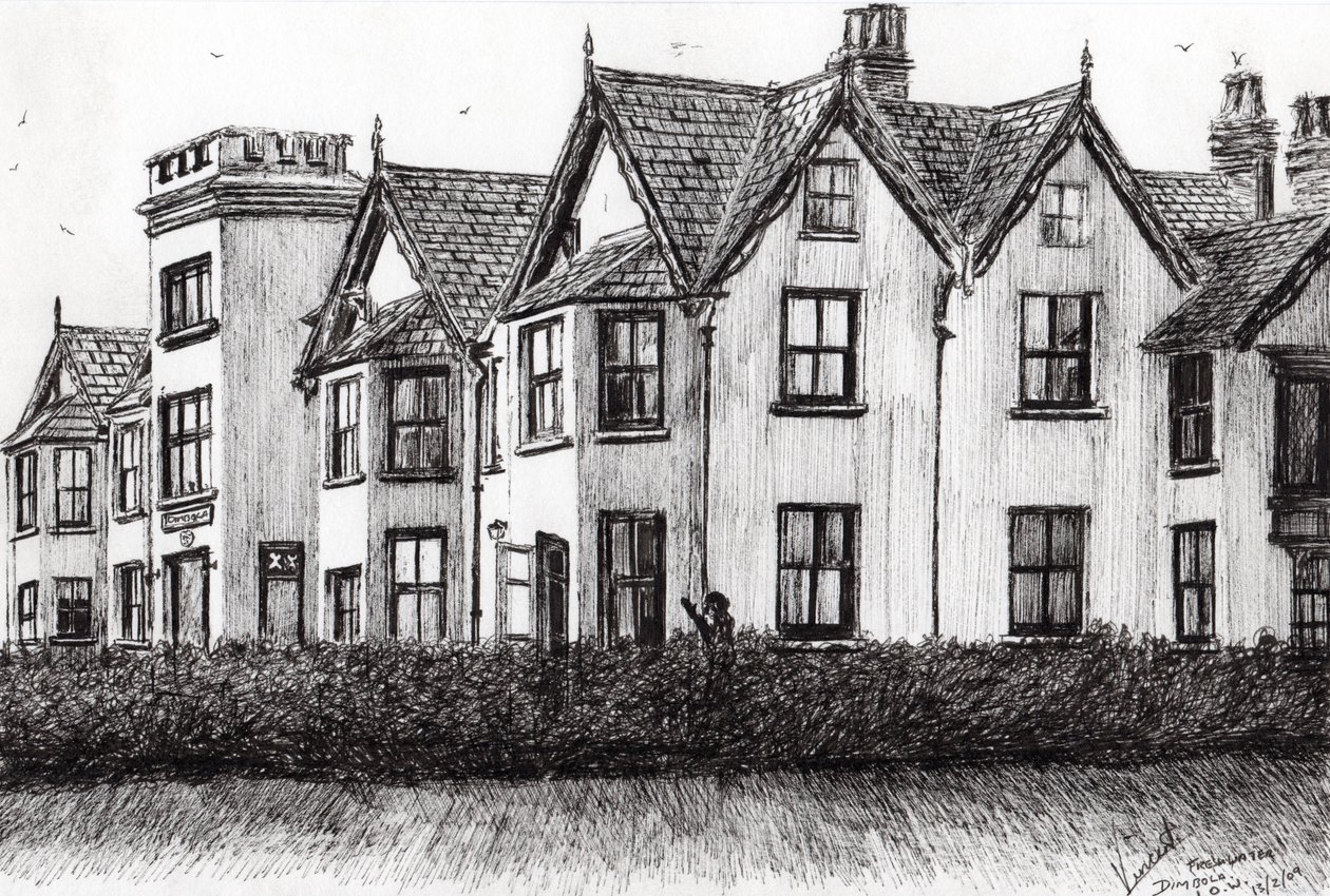 Dimbola Lodge IOW, 2009, (tusz na papierze) autorstwa Vincent Alexander Booth