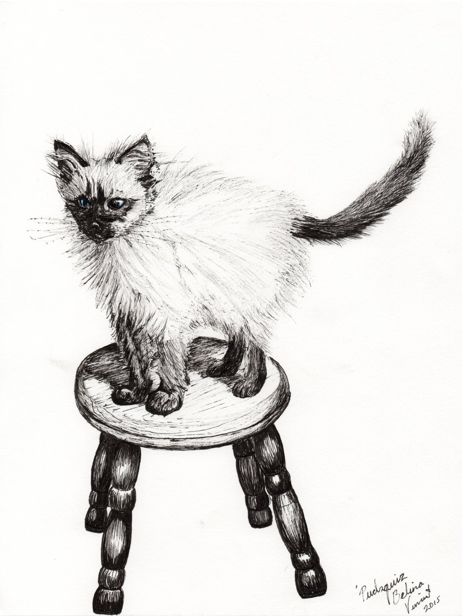 Pudsquiz Belina, 2015, (tusz na papierze) autorstwa Vincent Alexander Booth