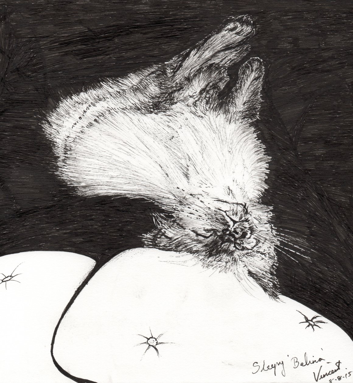 Śpiąca Belina, 2015, (tusz na papierze) autorstwa Vincent Alexander Booth