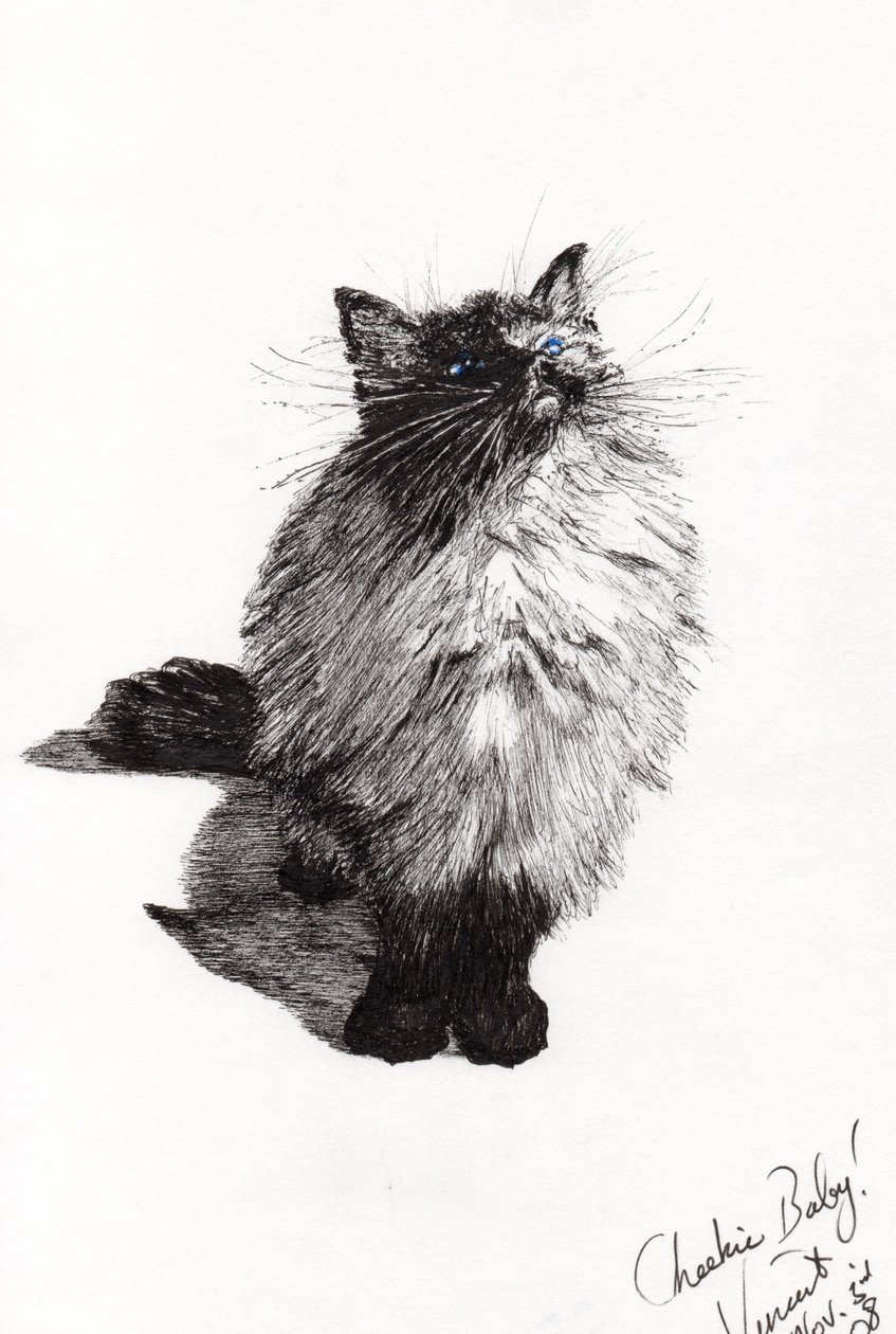 cheekie baby, 2008, (tusz na papierze) autorstwa Vincent Alexander Booth