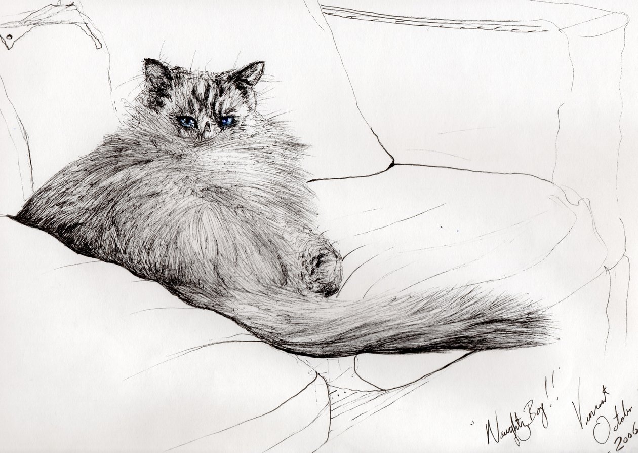 niegrzeczny chłopiec!, 2006, (Atrament na papierze) autorstwa Vincent Alexander Booth