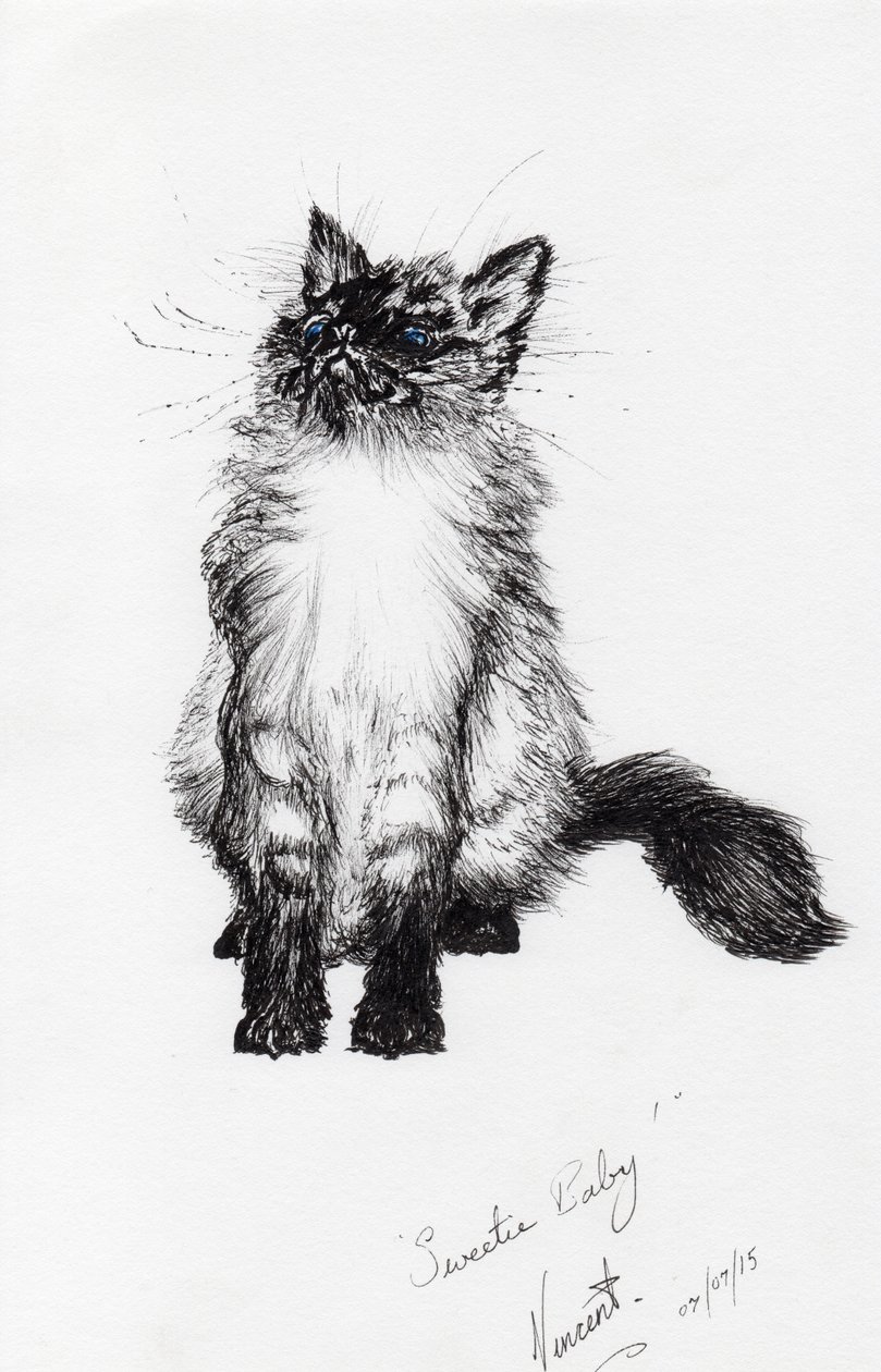 kochanie kochanie, 2015, (tusz na papierze) autorstwa Vincent Alexander Booth