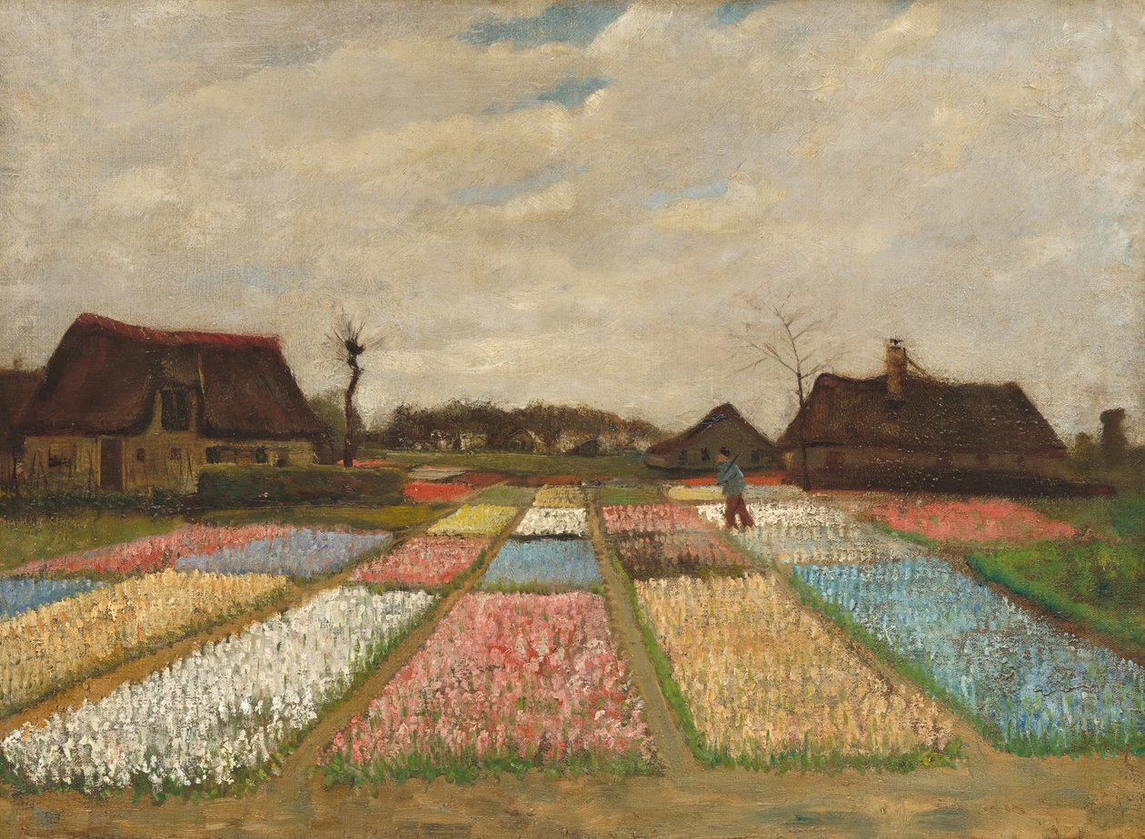 Klomby w Holandii / Pola cebulowe autorstwa Vincent van Gogh