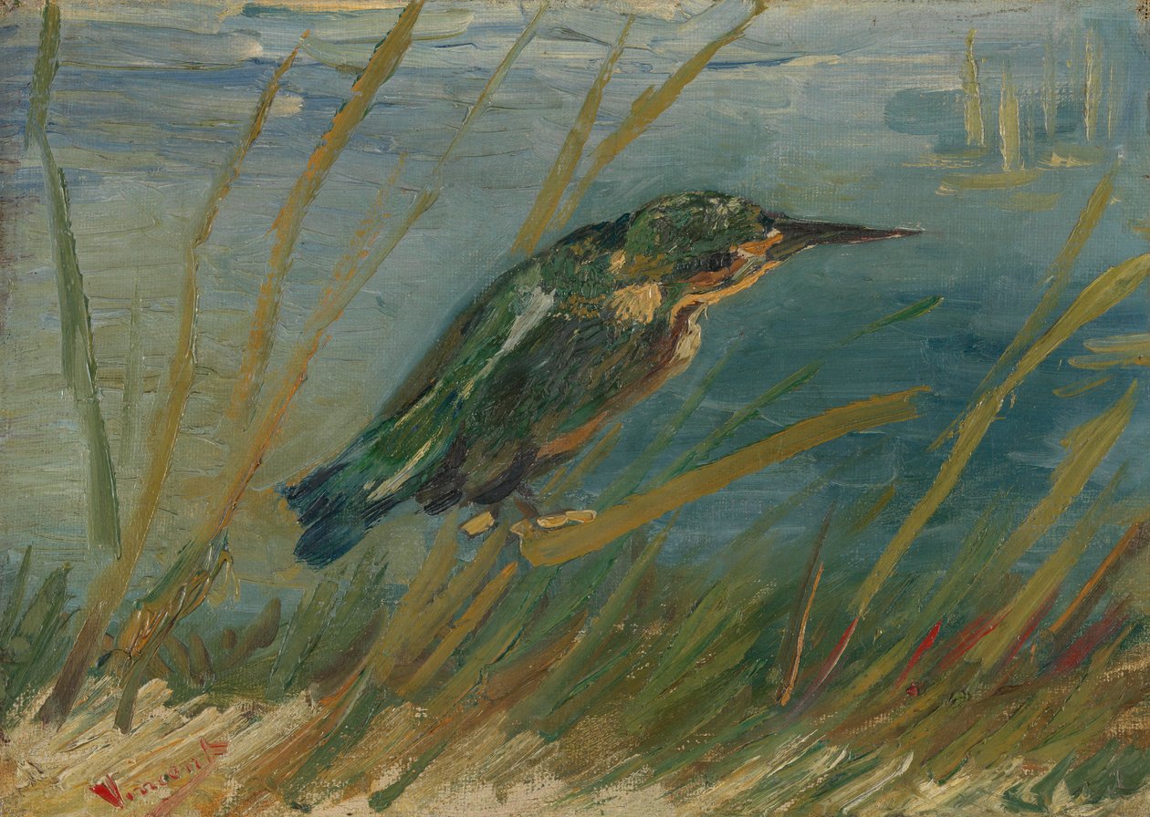 Zimorodek nad wodą autorstwa Vincent van Gogh