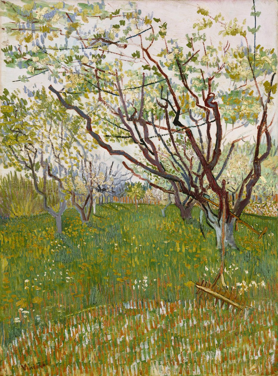 Kwitnący sad autorstwa Vincent van Gogh