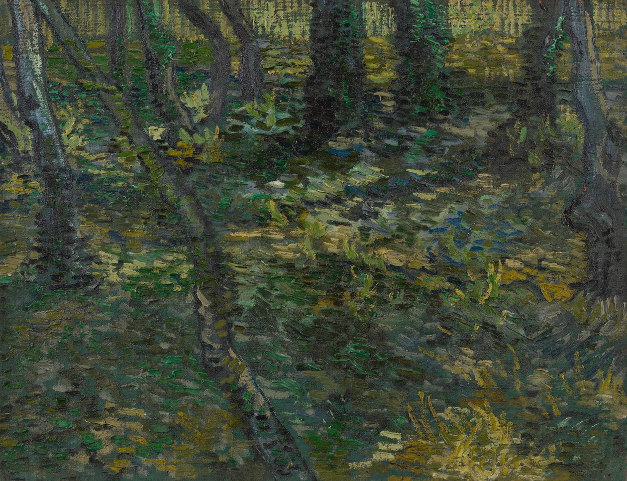 Runo autorstwa Vincent van Gogh