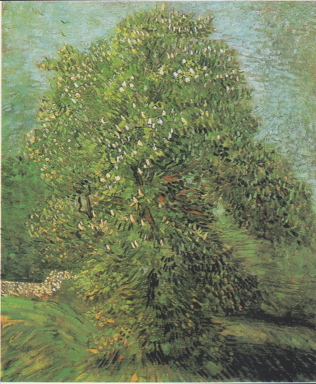 Kwitnący kasztanowiec autorstwa Vincent van Gogh