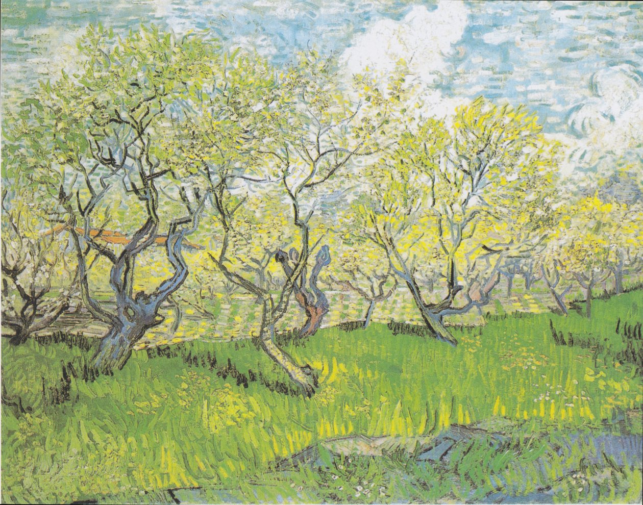 Kwitnący sad 3 autorstwa Vincent van Gogh
