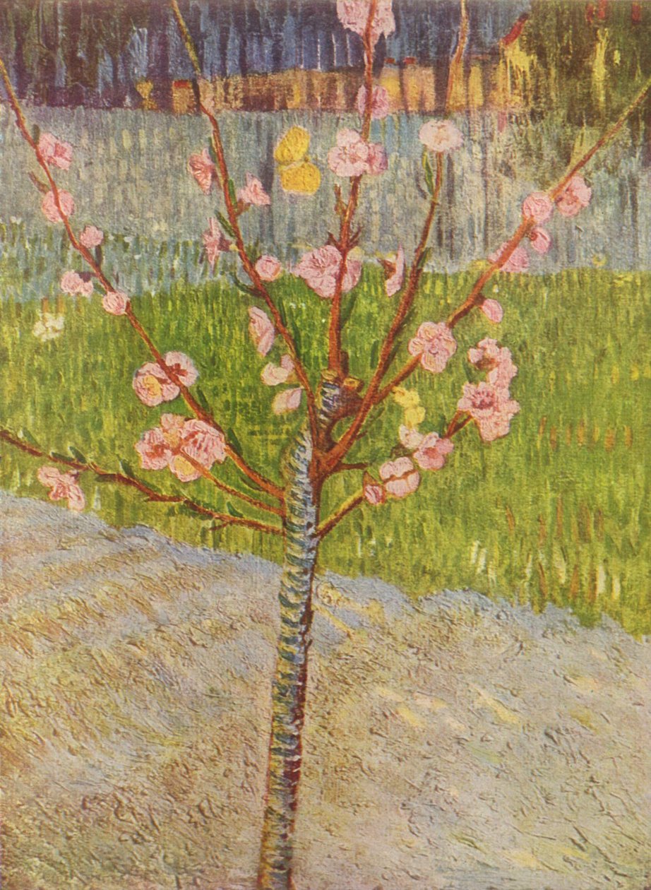Bulwar de Clichy autorstwa Vincent van Gogh