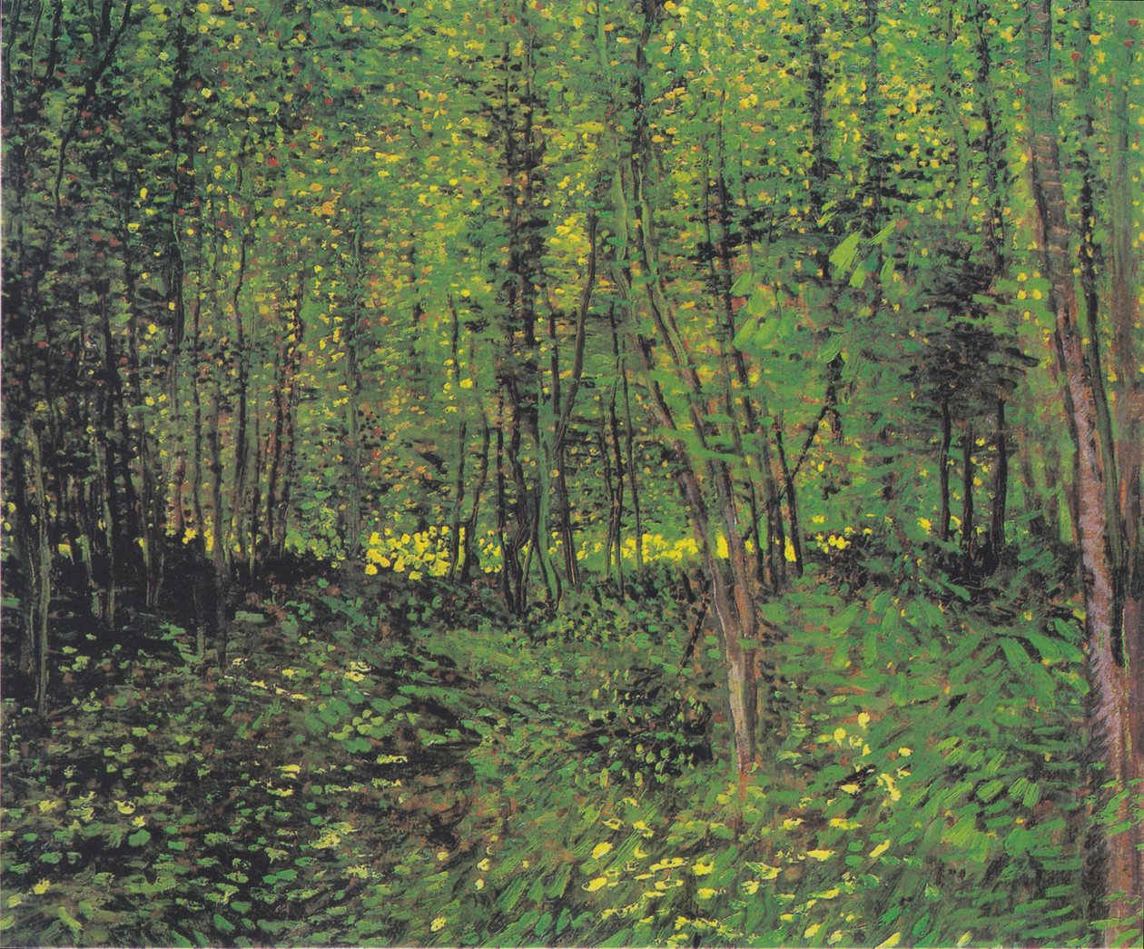 Drzewa i runo leśne 2 autorstwa Vincent van Gogh