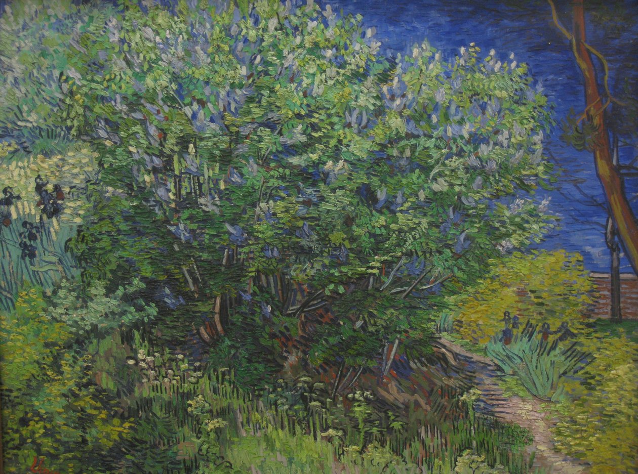 Krzak autorstwa Vincent van Gogh