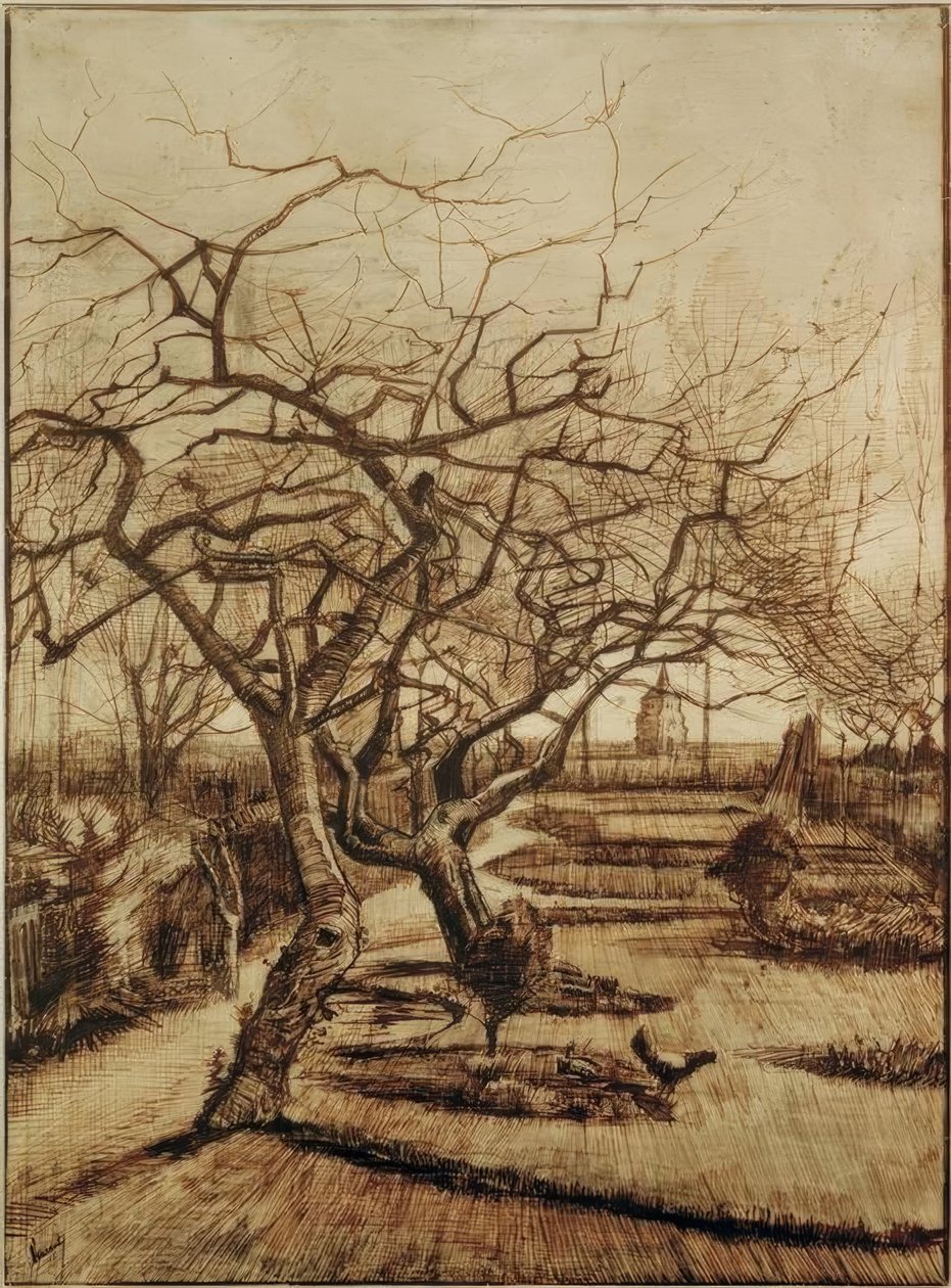 Ogród plebanii w Nuenen autorstwa Vincent van Gogh