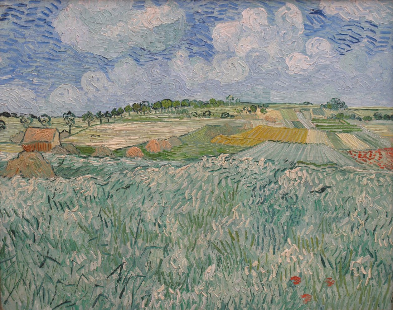 Poziom w Auvers autorstwa Vincent van Gogh