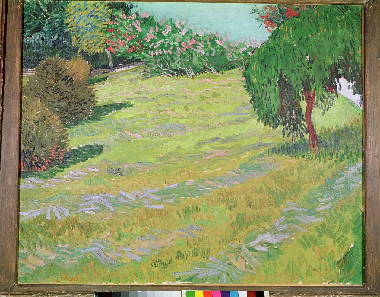 Pole z wierzbą płaczącą, 1888 autorstwa Vincent van Gogh