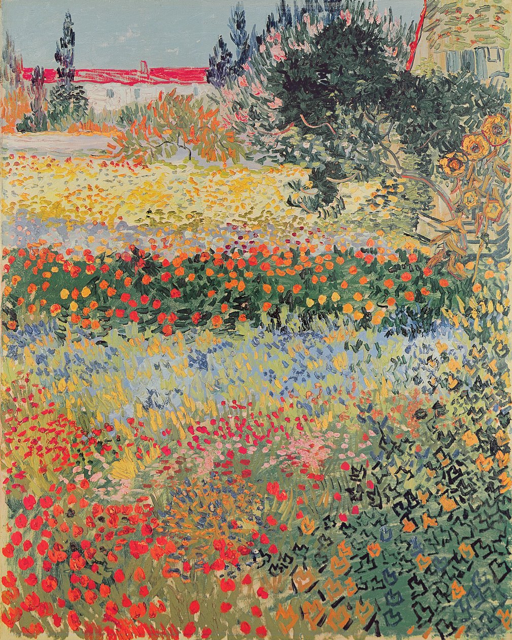 Ogród w Bloom, Arles, lipiec 1888 autorstwa Vincent van Gogh