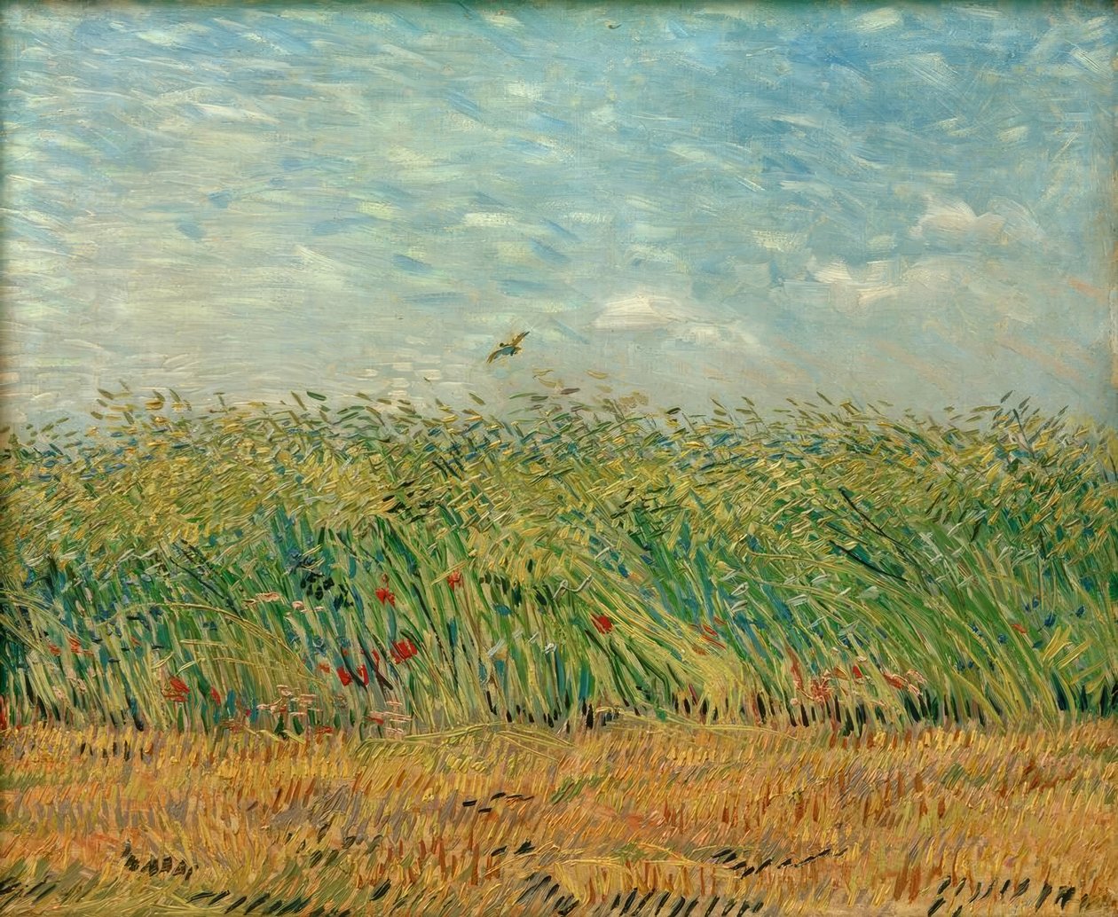 Pole zbożowe z makami i kuropatwą autorstwa Vincent van Gogh