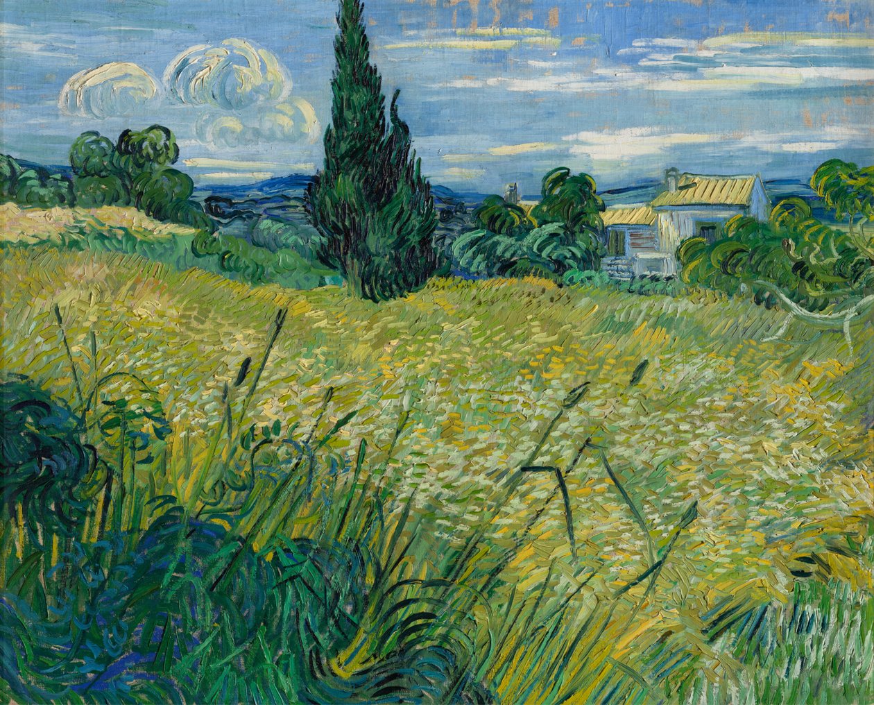 Zielona Pszenica, 1889 autorstwa Vincent van Gogh
