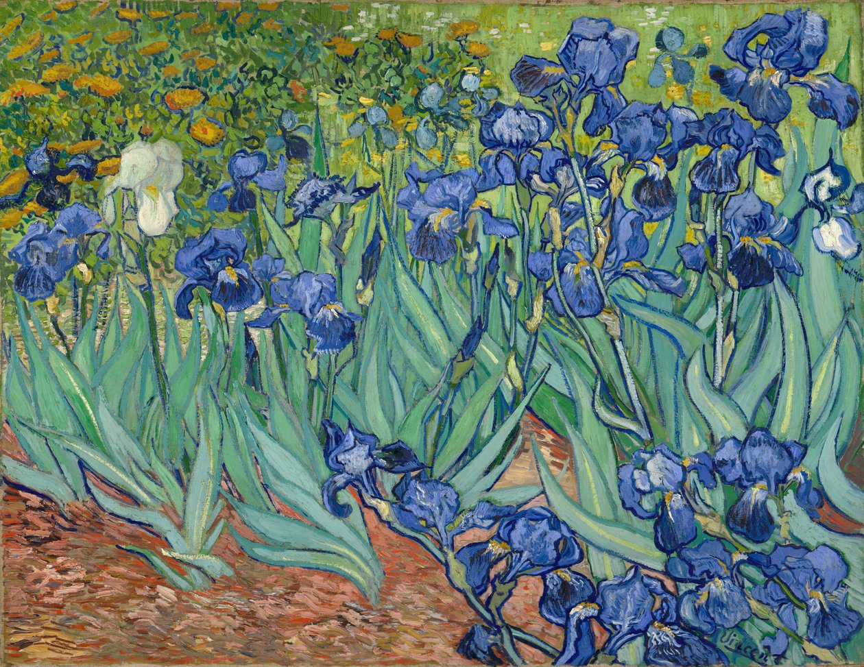 Irys autorstwa Vincent van Gogh