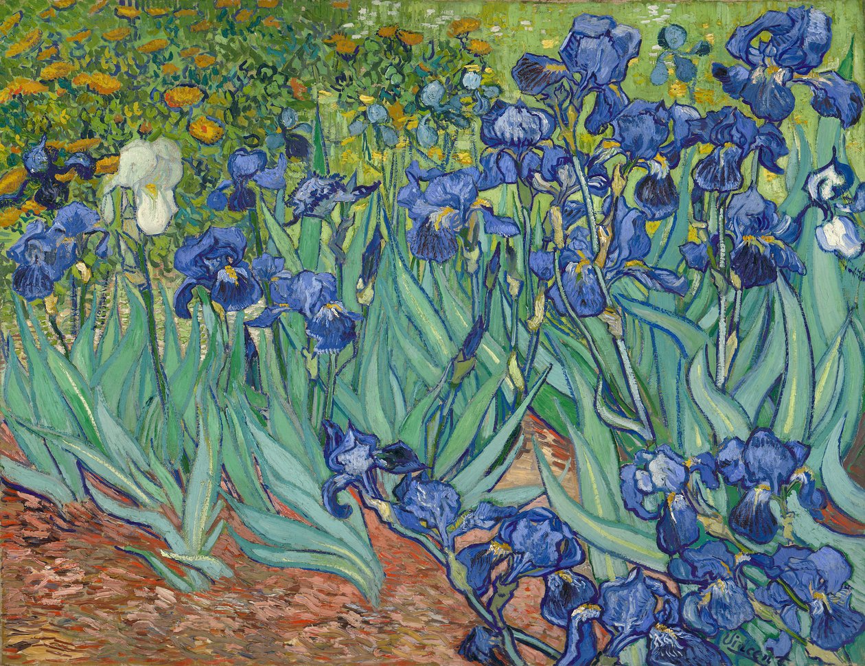 Irysy autorstwa Vincent van Gogh