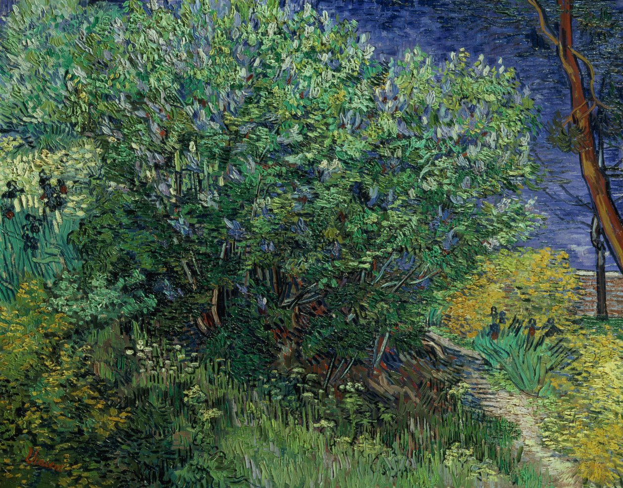 Krzak bzu, 1889 autorstwa Vincent van Gogh