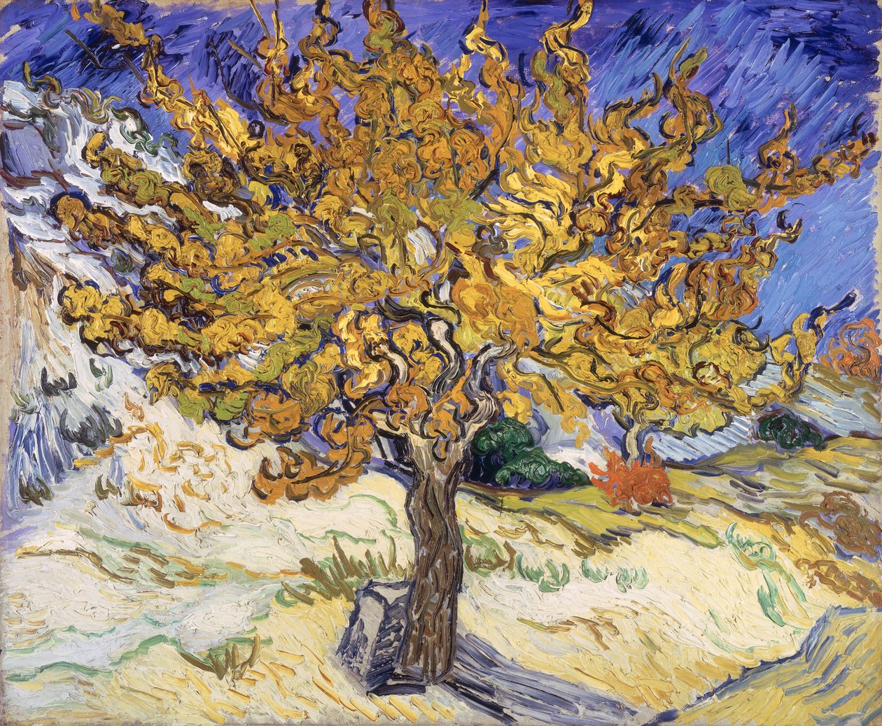 Drzewo morwy, 1889 autorstwa Vincent van Gogh