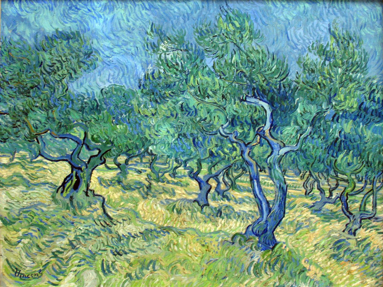 Ogród Oliwny autorstwa Vincent van Gogh